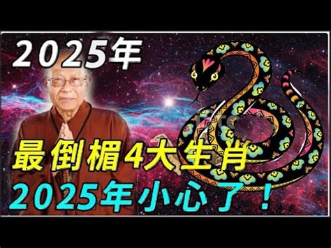 2025什麼生肖